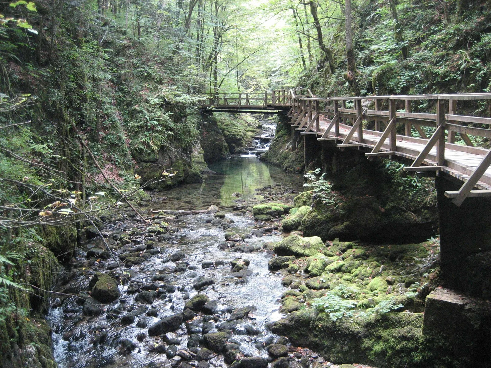 Gorski kotar za dvoje: drvena kućica, šuma i tišina